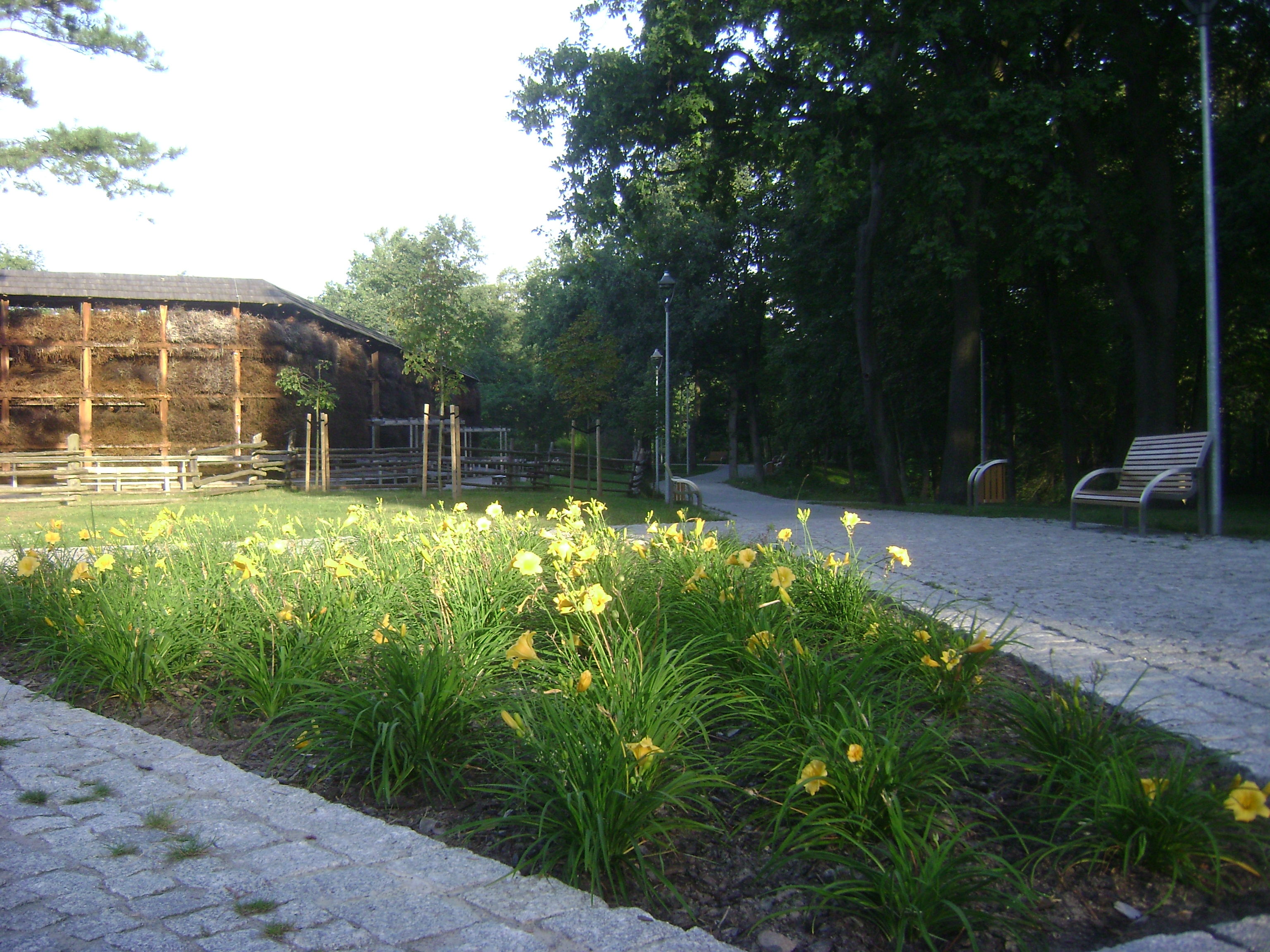 Park Zdrojowy im. hrabiego Witolda Skórzewskiego